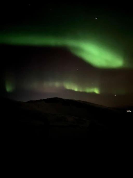 Skjomen Lodge Elvegard Bagian luar foto