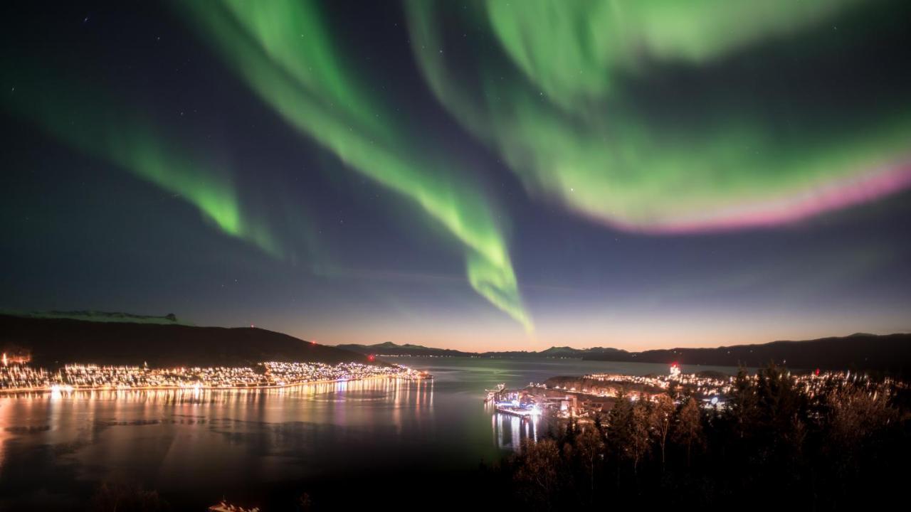 Skjomen Lodge Elvegard Bagian luar foto
