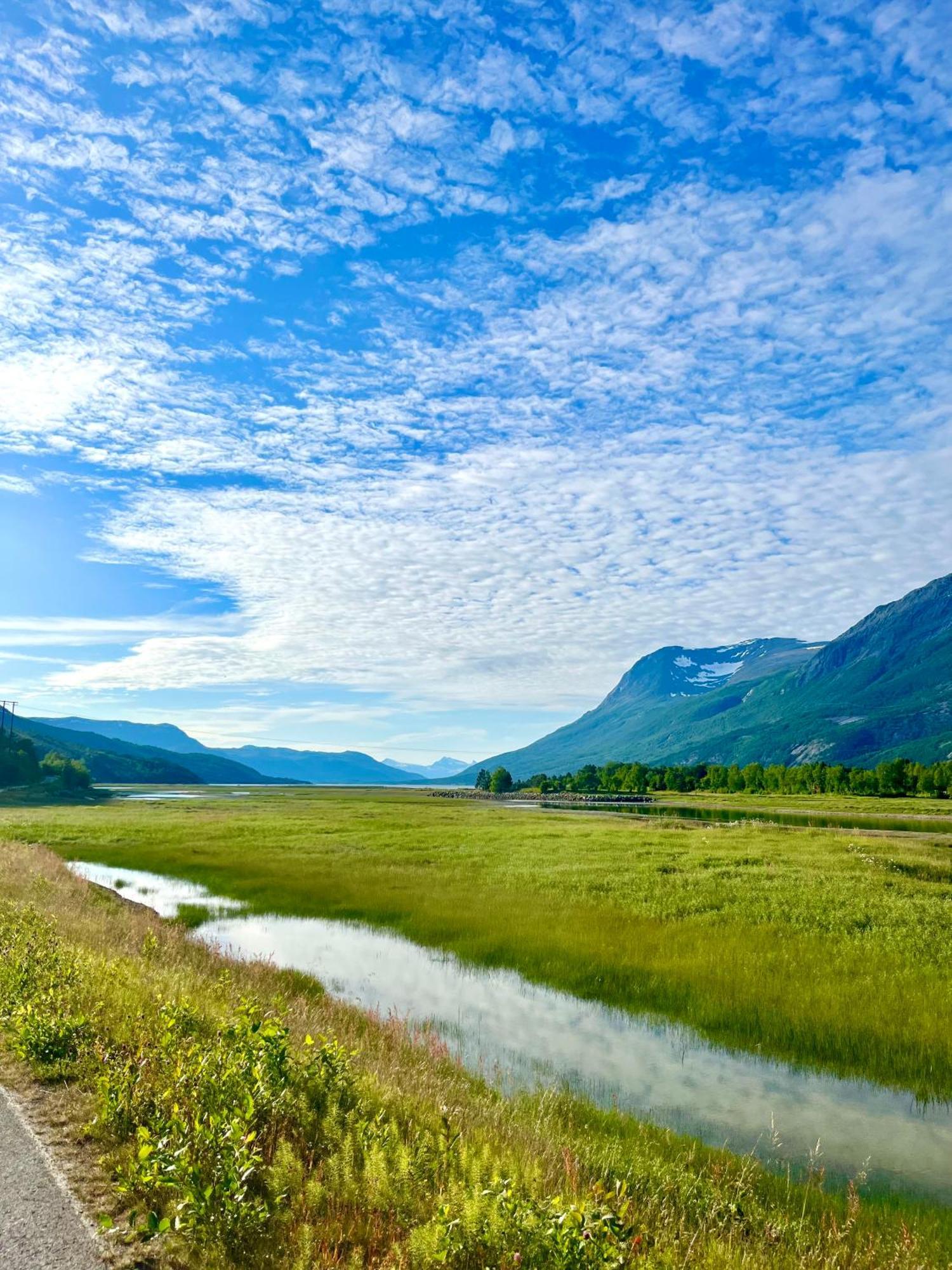 Skjomen Lodge Elvegard Bagian luar foto